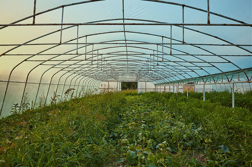 Место под солнцем