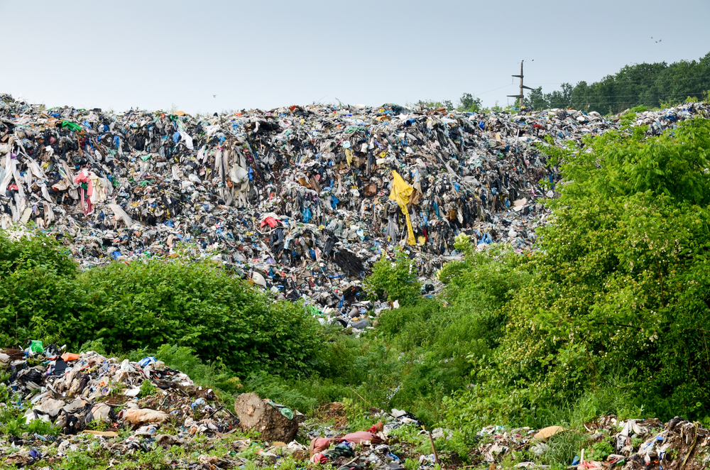 Утечка пластиковых отходов в окружающую среду увеличится в абсолютном выражении вдвое, с 22 млн т в 2019 году до 44 млн т в 2060 году. 